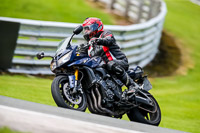 PJ-Motorsport-2019;anglesey;brands-hatch;cadwell-park;croft;donington-park;enduro-digital-images;event-digital-images;eventdigitalimages;mallory;no-limits;oulton-park;peter-wileman-photography;racing-digital-images;silverstone;snetterton;trackday-digital-images;trackday-photos;vmcc-banbury-run;welsh-2-day-enduro